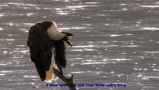 Abba - Eagle - Videoclip.bg