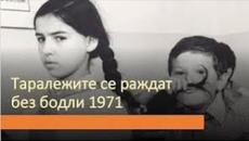 Таралежите се раждат без бодли (1971) - Videoclip.bg