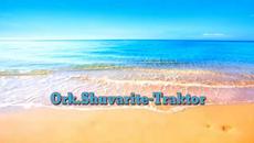 Орк. Шуварите - Трактор - Videoclip.bg