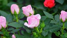 Музыка дающая энергию! Самая красивая мелодия на свете Для Души! МУЗЫКА ВЕСНЫ, ЛЮБВИ, НАДЕЖДЫ! #2 - Videoclip.bg