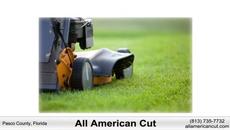 Lawn Mowing Services near Port Richey, Florida - Videoclip.bg