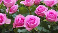 Это Самая Красивая Музыка на Свете! Эта нежная чарующая мелодия успокаивает душу! музыка 2022 - Videoclip.bg