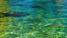 Недостиг за вода доведе воден режим 2022 г. в България - в 12 области у нас са на воден режим - Videoclip.bg