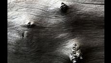 Compelling (Ten Walls Remix) - Videoclip.bg