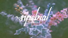 [House] Adventure Club - Wonder (The Chainsmokers Remix) - Videoclip.bg