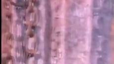 Sholay (1975) - The original ending scene of the movie Sholay - Videoclip.bg