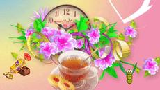 Добро Утро - Videoclip.bg