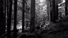 Enigma - Beyond The Invisible (NG Remix) - Videoclip.bg