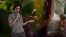 The Weaver Ant Is The Spawn of Satan... - Videoclip.bg