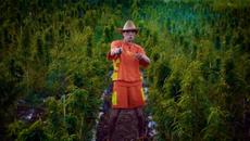 ALEN SAKIĆ - AMNEZIJA (OFFICIAL VIDEO) - Videoclip.bg