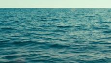 Швейцарско войниче Swiss Army Man (2016) Бг Аудио Част 1 - Videoclip.bg