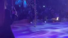 Gloria Pirin Folk - Videoclip.bg