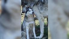 Фото, которые тебя удивят (89 часть) - Videoclip.bg