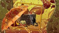 Здравей септември - Дъждовна есен - Videoclip.bg