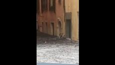 In Italy, there is a flood! Venice now looks like a big lake! People are depressed! - Videoclip.bg