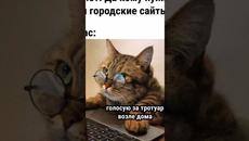 Мемы #котики и #кошки #коты #мем #кот #котик #прикол #приколысживотными #приколыскотами #мемыпро100 - Videoclip.bg