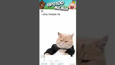 МЕМЫ ЕСТЬ МЕМЫ #приколы #юмор #лютыеприколы #коты #кошки #мемы #мем #котики #shorts #подпишись - Videoclip.bg