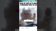 Мемы 2022 #мемы - Videoclip.bg