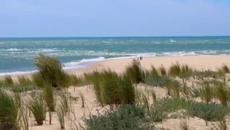 Autograph - Dance All Night - 1987 (Audio Hd) - Videoclip.bg