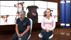 Положителен отзвук след посещението на представители на Киноложки съюз България в FCI - Videoclip.bg