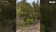 Ukrainian army shows off 'war trophies' of abandoned Russian equipment, weapons and ammo - Videoclip.bg