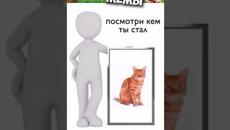 МЕМЫ ЕСТЬ МЕМЫ #мемы #мем #мемы2022 #юмор #котики #приколы - Videoclip.bg