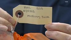 Who Ripped the Beaks Off of These Ducks? - Videoclip.bg