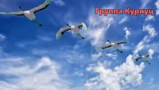 Группа Курнуц  -  Журавли (cover) - Videoclip.bg