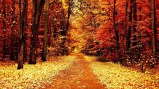 Здравей първа есен с песничка - Есен с песен - Videoclip.bg