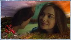 Андрей Обидин  -  Влюбленный саксафон - Videoclip.bg