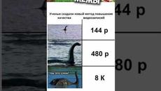 #приколы #мемы #мем #мемы2022 #юмор #коты #кошки #котики #животные #кот #собаки - Videoclip.bg