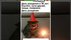 #приколы #мемы #мем #мемы2022 #юмор #коты #кошки #котики - Videoclip.bg