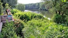 Започна разчистване коритото на Марица край Пловдив - Videoclip.bg