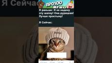 Мемы 2022 #кошки и #котики #подпишись - Videoclip.bg