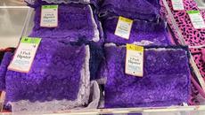 PRIMARK BRIEFS NEW COLLECTION - November 2022 - Videoclip.bg