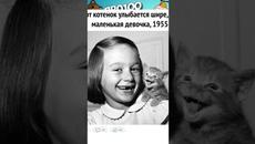 #приколы #юмор #коты #кошки #мемы #мем #котики - Videoclip.bg