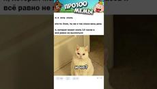 Мемы с Котами выпуск 686 - Videoclip.bg
