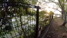 NINJA ^ ^ CAT - Videoclip.bg