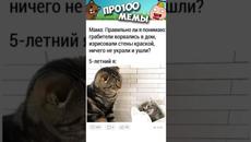 Мемы с Котами выпуск 695 - Videoclip.bg
