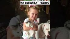Мемы 2022 #Котики и #Кошки #анекдоты #Озвучка - Videoclip.bg