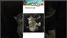 Мемы 2022 #мемы - Videoclip.bg