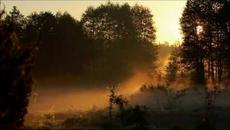 ЮРИЙ РАСКИН   -   Далеко за рекой... - Videoclip.bg