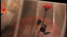 ОСЕНЬ И КРАСИВАЯ МУЗЫКА... - Videoclip.bg