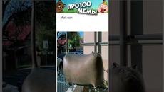 Мемы 2022 #Коты #Котики #Кошки #Анекдоты - Videoclip.bg