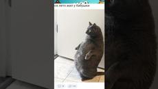 #мемы #мем - Videoclip.bg