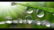 РОСНИ МИ РОСНИ РОСИЦЕ - Videoclip.bg