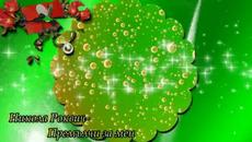 Никола Роквич- Precuti me- Премълчи за мен - Videoclip.bg