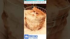 Мемы 2022 #shorts - Videoclip.bg