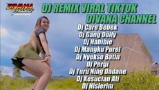 DJ CARE BEBEK REMIX X GANG DOLI VIRAL FYP TIK TOK TERBARU FULL ALBUM DIVANA PROJECT - Videoclip.bg