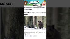 Мемы просто #анекдоты #юмор #приколы #мемы #шутки #shorts - Videoclip.bg